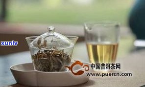 普洱茶绿茶和黄茶-普洱茶绿茶和黄茶哪个好