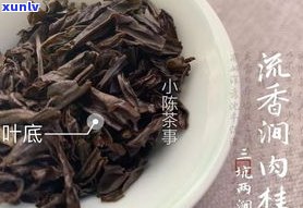 魏先生茶业肉桂怎么样？详解品牌茶叶特点与功效