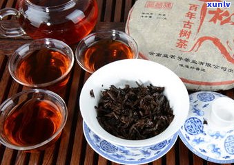 普洱茶：究竟属于哪一类？