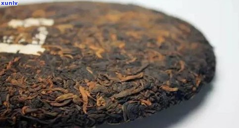 普洱熟茶有虫子：能喝吗？怎么办？