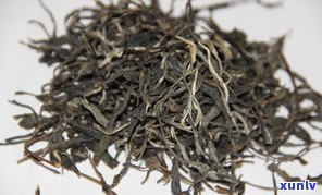 普洱茶夏茶的特点-普洱茶夏茶的特点是什么