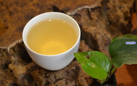 普洱茶泡茶投茶比例：多少合适？克数如何计算？