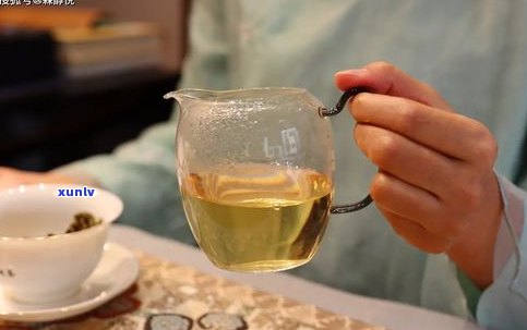 泡普洱茶：如何掌握更佳投茶量？