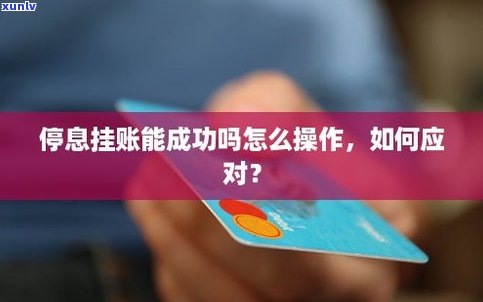 还呗能否停息挂账？如何操作？