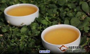 什么是普洱茶秋茶-什么是普洱茶秋茶叶