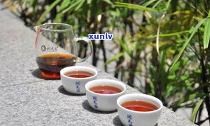 什么是普洱茶秋茶-什么是普洱茶秋茶叶