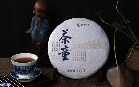 普洱茶饼：起源、历史与 *** 视频全揭秘