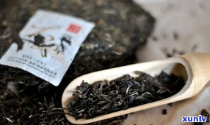 普洱茶中之王：子兰，揭秘顶级普洱茶的魅力所在