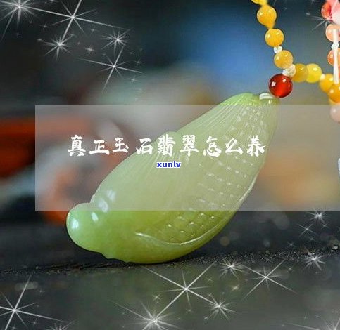 玉石怎么饲养-玉石怎么饲养更好