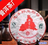 丹青普洱茶价格全揭秘：每件、品种及市场行情