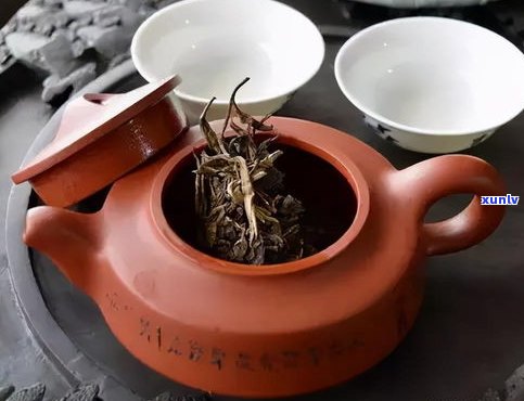 普洱茶生茶泡几秒-普洱茶生茶泡几秒可以喝