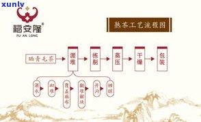 普洱茶印级茶工艺流程图详解：从原料到成品全过程解析