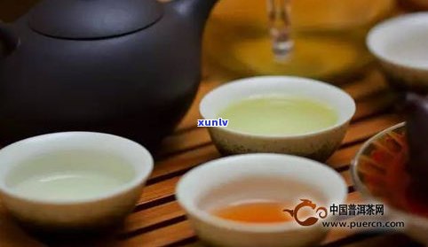 普洱茶乌龙茶：比较减肥效果、区分与其他茶类，是否能混饮？