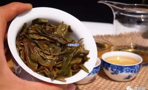 普洱茶邦崴茶特点-邦崴普洱茶的特点