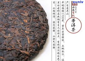 藤条王普洱茶生茶-藤条王普洱茶生茶357g价格