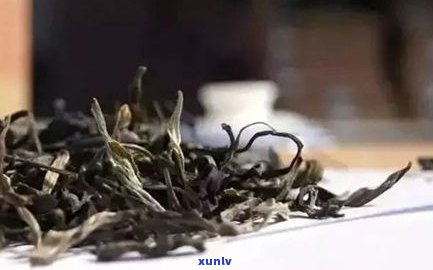 普洱茶干茶外形共同特点：形状、冲泡特性的全面解析