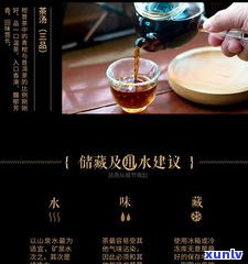 普洱茶和小桔子茶哪个好喝？全面对比分析