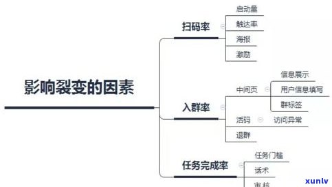 普洱茶的制茶步骤：详细解析八步流程