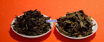 普洱茶是怎么制茶-普洱茶是怎么制茶的