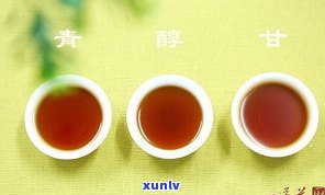 青柑茶普洱茶图片大全大图：功效、作用及品尝体验