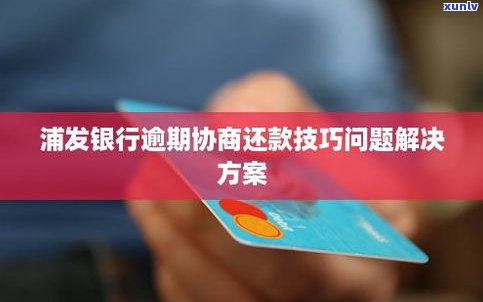 怎样协商解决信用卡还款疑问？全攻略！