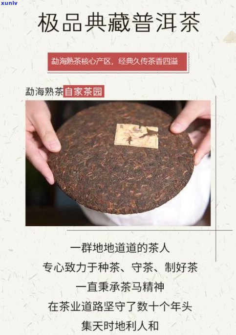 小罐茶普洱价格图片全览：详细价格表与查询指南