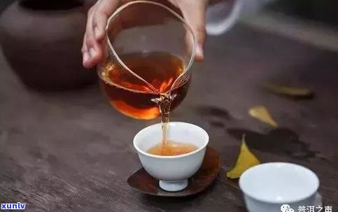 小罐茶普洱茶多少钱一罐？功效、冲泡 *** 全解析，真的难喝吗？