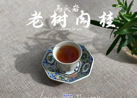 普洱茶茶袋：价格、存放与冲泡全知道