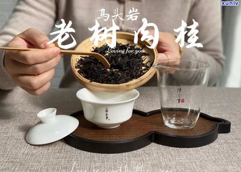 普洱茶茶袋：价格、存放与冲泡全知道