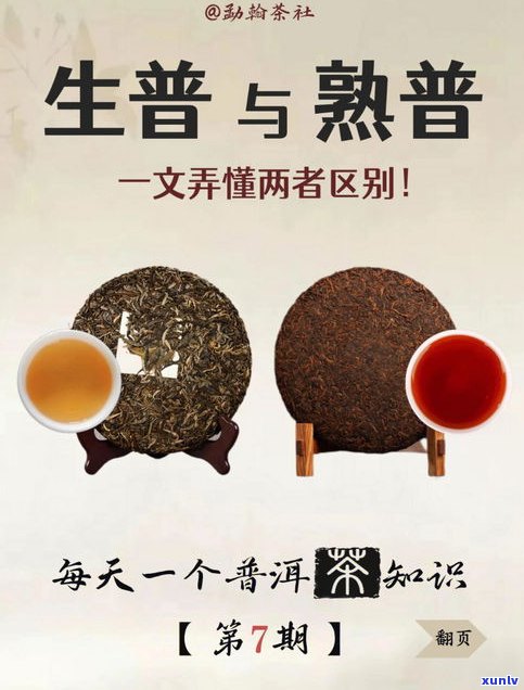 普洱生茶和生普是不是同一种茶？能饮用吗？原因是什么？普洱茶与生普洱茶有何区别？