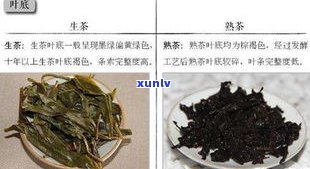 普洱茶生茶的香料及其特点与作用