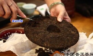 普洱茶九几年的茶饼能喝吗？含还是无害？价格多少？看知乎视频解析