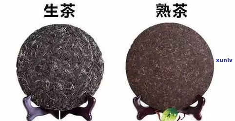 普洱茶：如何鉴别好坏？区别与可饮用性