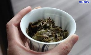 普洱茶属于什么茶种？详解其分类与特点