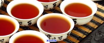 全面解析普洱茶黑茶的功效、禁忌与副作用