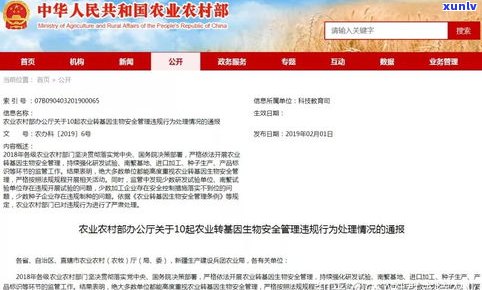 遇到黑网贷怎样报警？是不是安全有效？全解