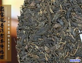 普洱茶化石与茶饼：哪个更好？口感、保存等方面的比较