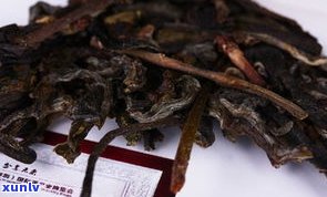 缅甸普洱茶生茶：品种、 *** 工艺与特点全解析