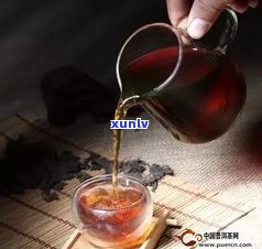 缅甸普洱茶生茶：品种、 *** 工艺与特点全解析