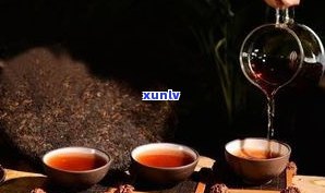 普洱芽尖茶怎么样？口感、价格全揭秘！