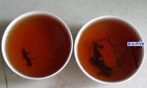 黑茶与普洱茶：功效有何异同？哪个更好？