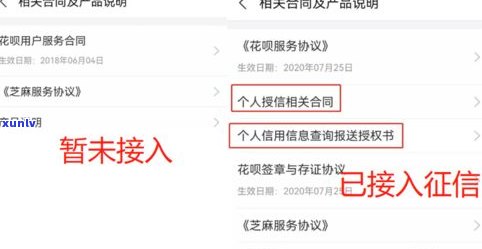 花呗是不是会进个人？怎样查询？知乎上有相关答案吗？