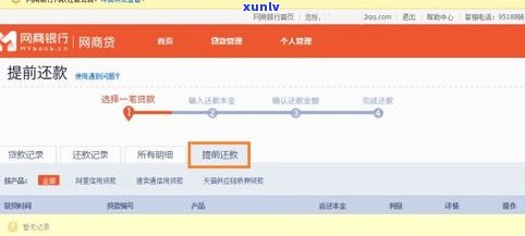 花呗能否用于偿还网商贷？