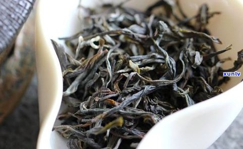 知己制茶普洱茶饼-知己茶叶价格