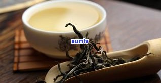 普洱茶的条索：形状、色泽与特征全解析