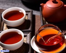 泡普洱茶前先烘茶好？先泡后煮还是后烘？