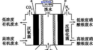 玉石提白化学品：原理、种类与应用全解析