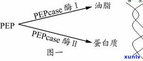 玉石提白化学品：原理、种类与应用全解析