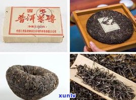 为什么普洱茶熟茶-为什么普洱茶熟茶苦涩