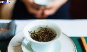 醉春秋普洱茶价格表200克：2019年一仓价格、生茶品种及2015中秋特惠价